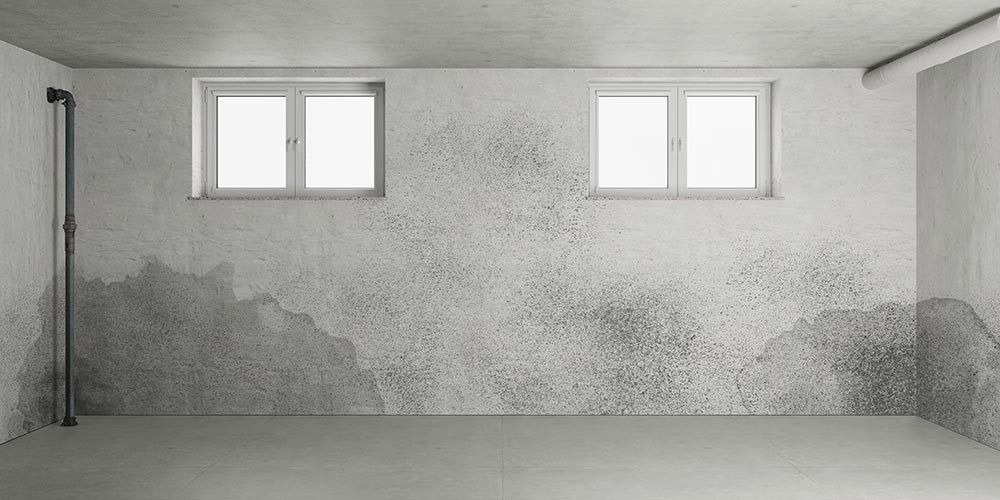 Moldy basement wall requiring remediation